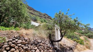 2023-04-GranCan-Guayadeque-090.jpg